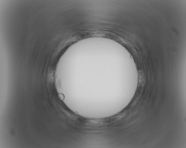X0000115500713200911061022
