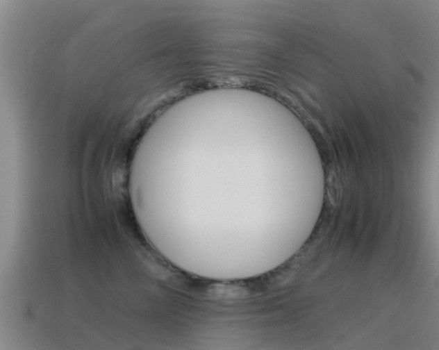 X0000115500714200911061022