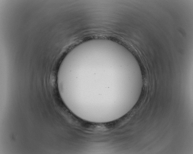 X0000115500715200911061022