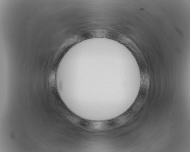 X0000115500717200911061022