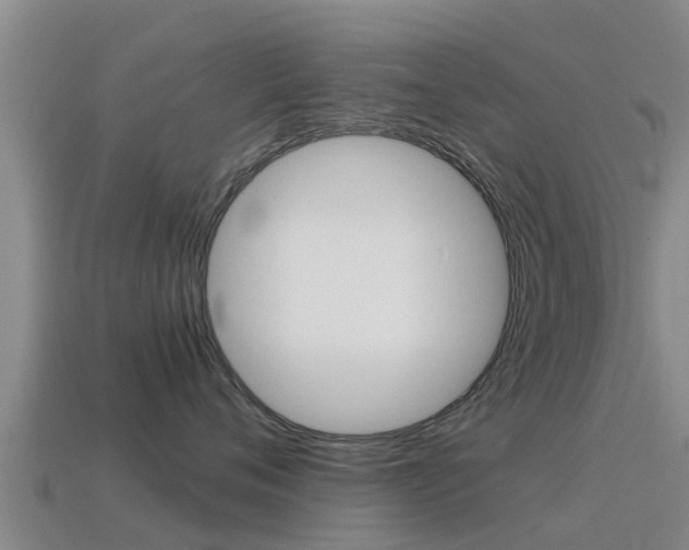 X0000115500720200911061022