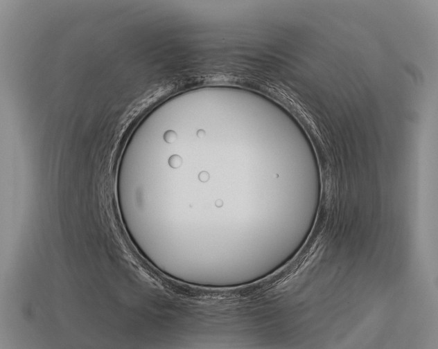 X0000115500721200911061022