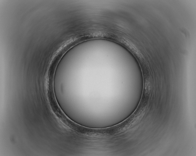 X0000115500722200911061022