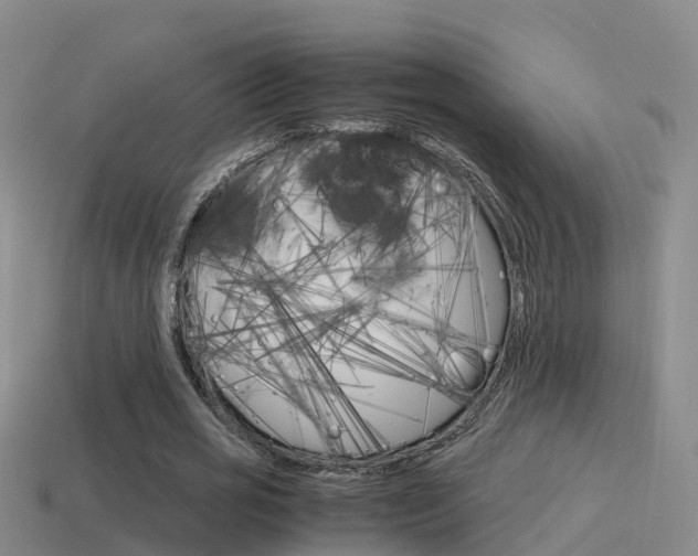X0000115500725200911061022