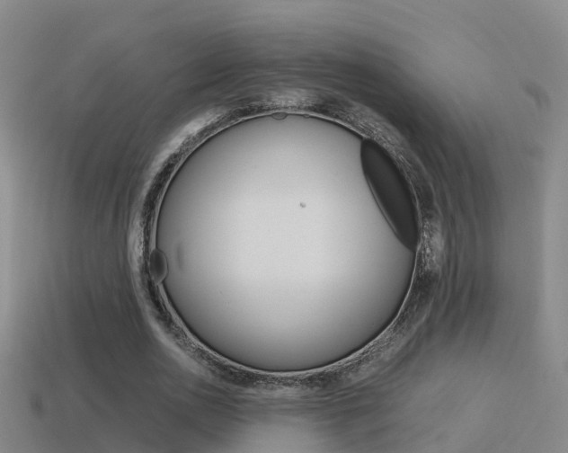 X0000115500726200911061022