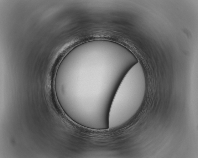 X0000115500727200911061022