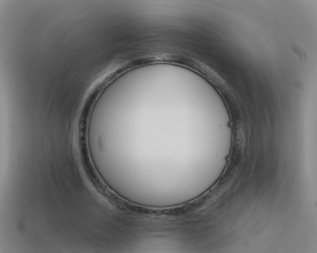 X0000115500730200911061022