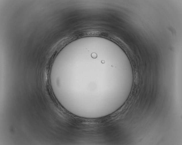 X0000115500733200911061022
