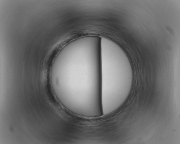 X0000115500735200911061022