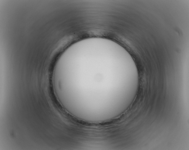 X0000115500738200911061022