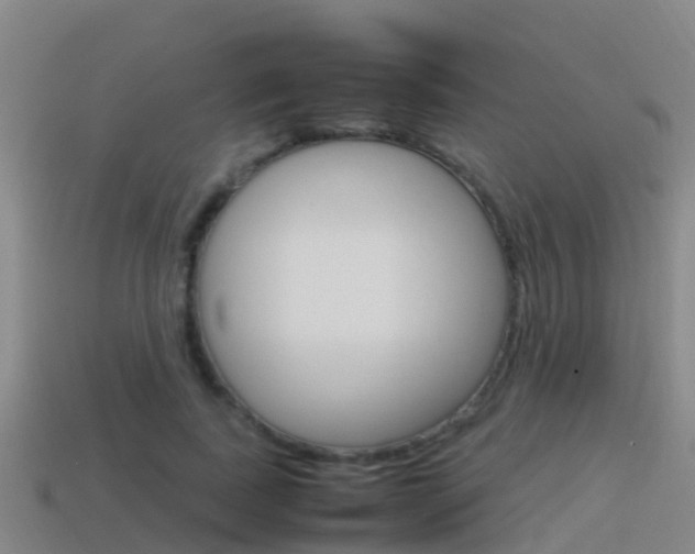 X0000115500739200911061022