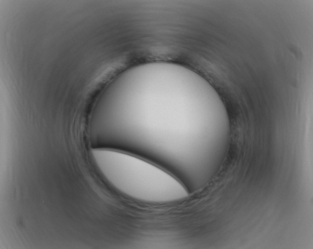X0000115500742200911061022