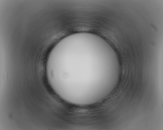 X0000115500743200911061022