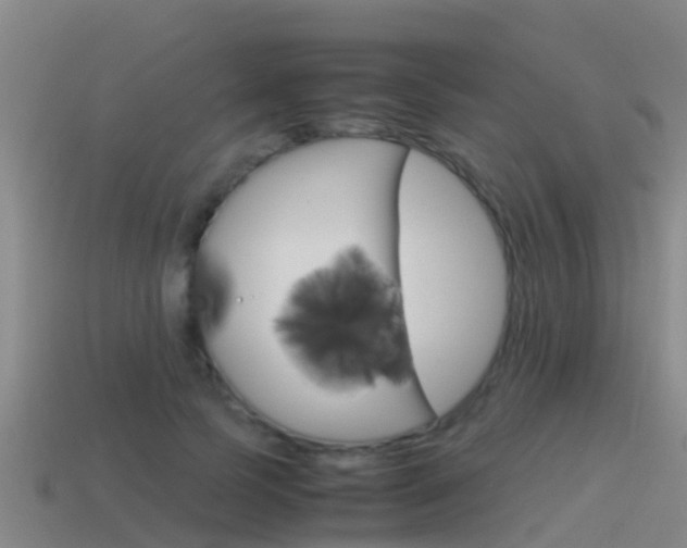 X0000115500745200911061022