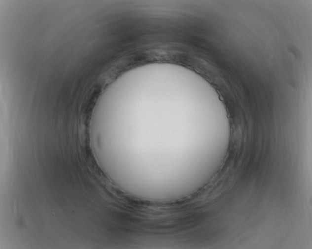 X0000115500749200911061022