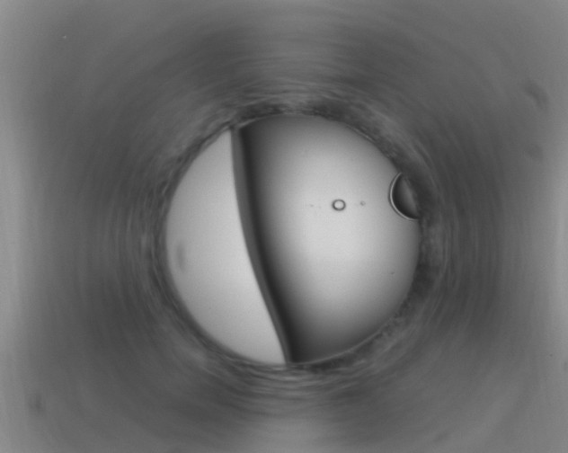 X0000115500750200911061022