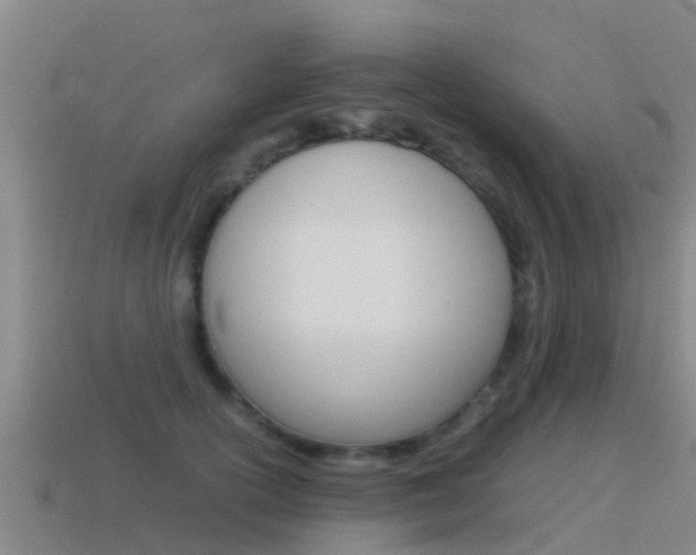 X0000115500754200911061022
