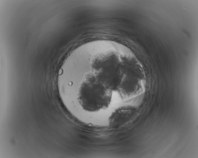 X0000115500757200911061022