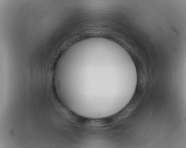 X0000115500758200911061022