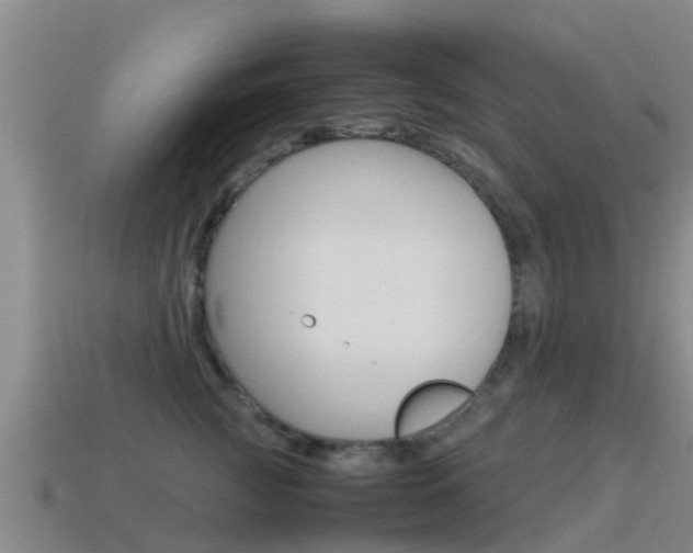 X0000115500761200911061022