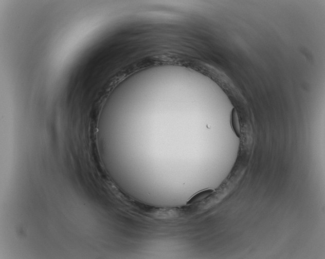 X0000115500762200911061022