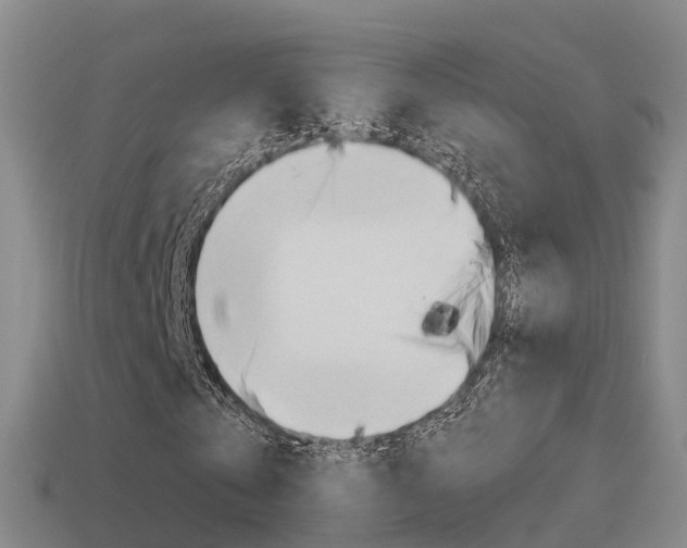 X0000115500769200911061022