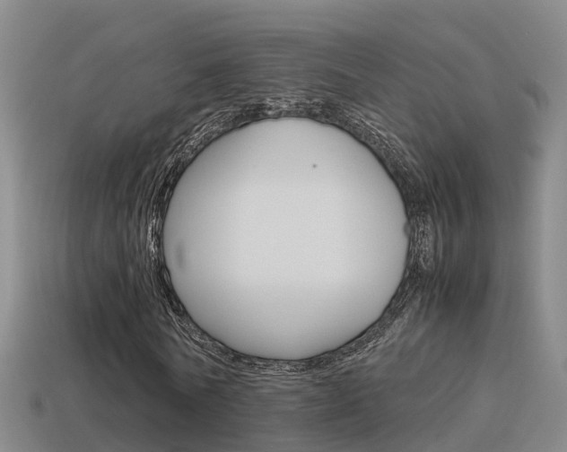X0000115500770200911061022