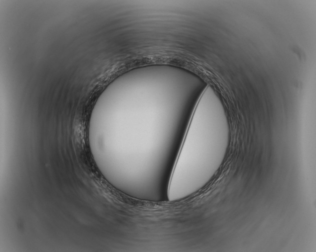 X0000115500772200911061022