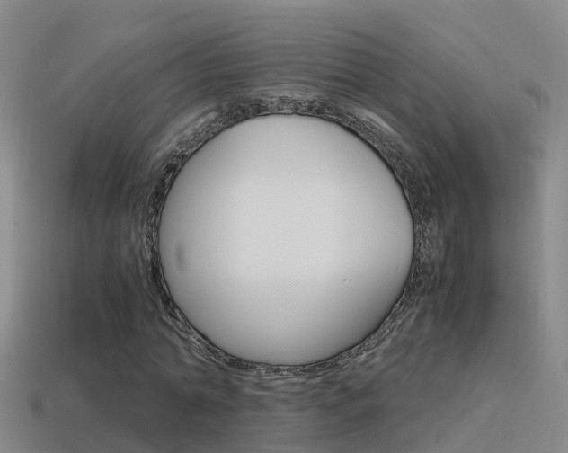 X0000115500774200911061021