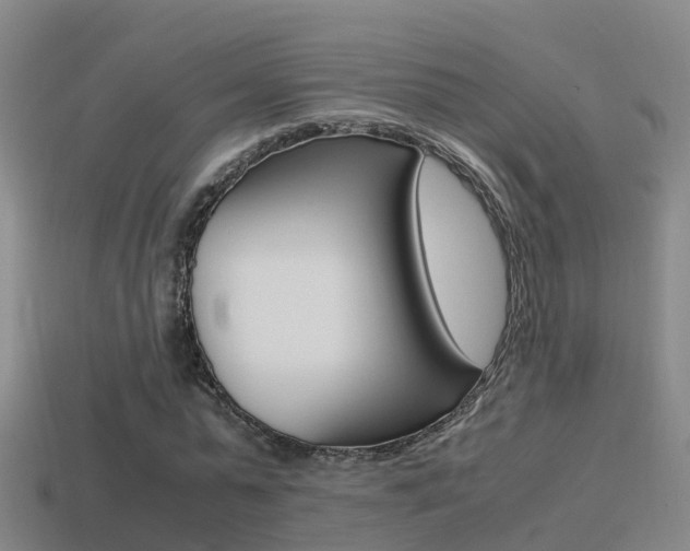 X0000115500775200911061021
