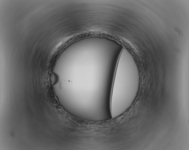 X0000115500776200911061021
