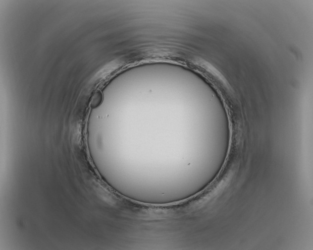 X0000115500777200911061021