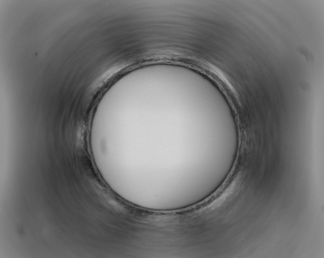 X0000115500778200911061021