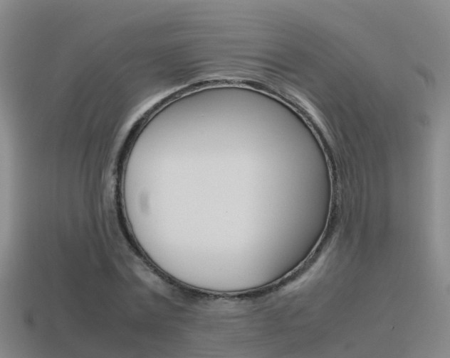 X0000115500779200911061021