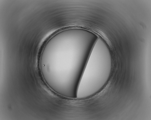 X0000115500780200911061021