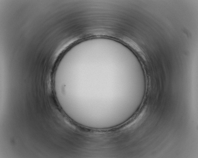 X0000115500782200911061021
