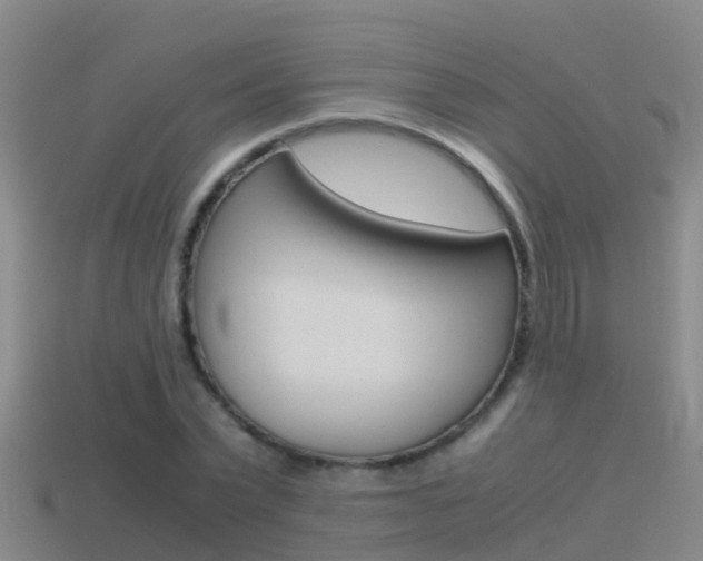 X0000115500783200911061021
