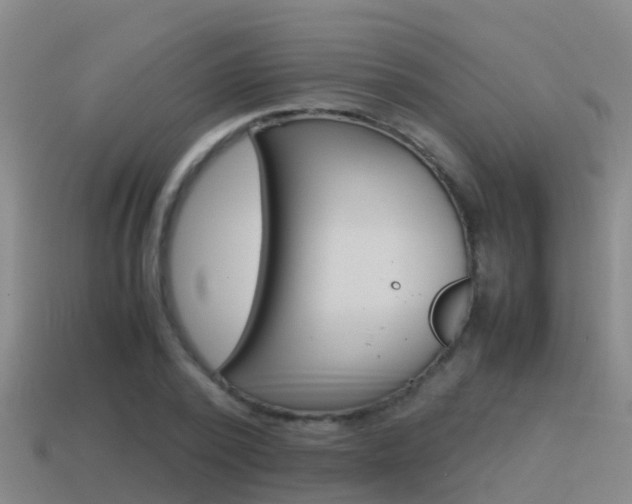 X0000115500784200911061021