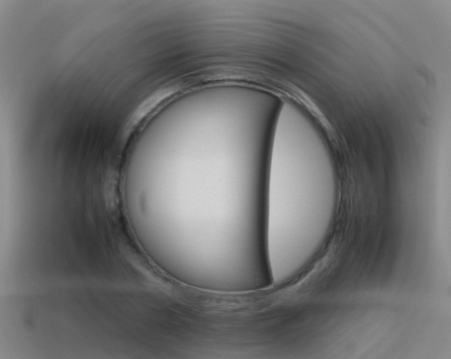 X0000115500786200911061021