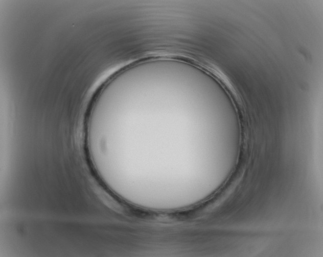 X0000115500787200911061021