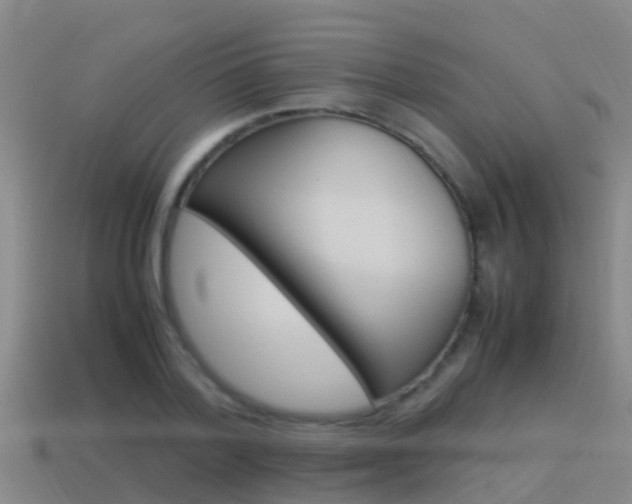 X0000115500788200911061021