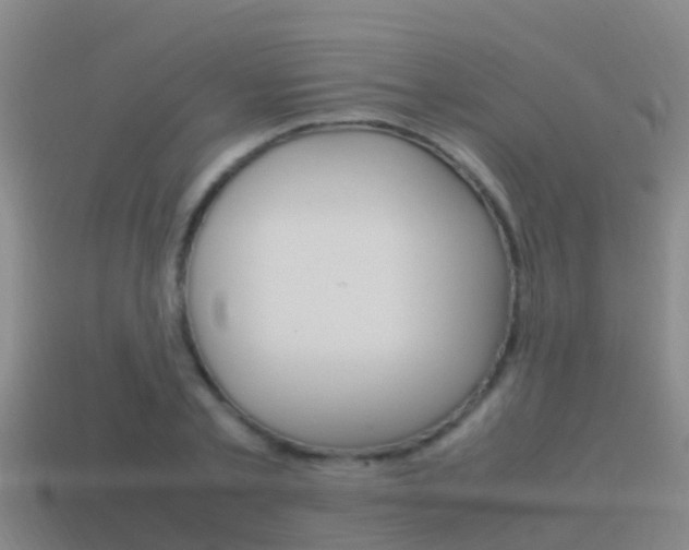 X0000115500789200911061021