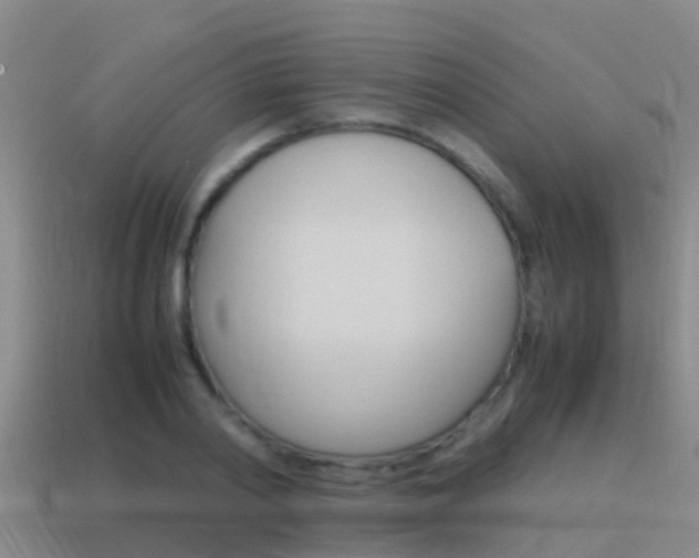 X0000115500790200911061021