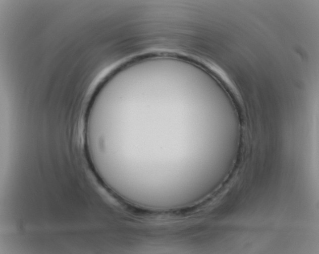 X0000115500791200911061021