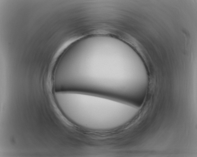 X0000115500795200911061021