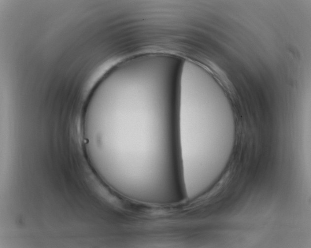 X0000115500796200911061021