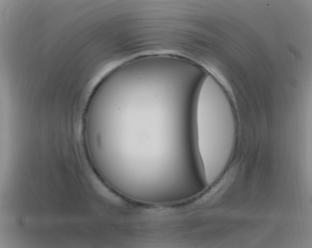 X0000115500797200911061021