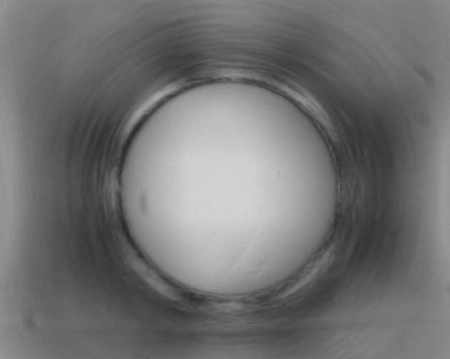 X0000115500798200911061021