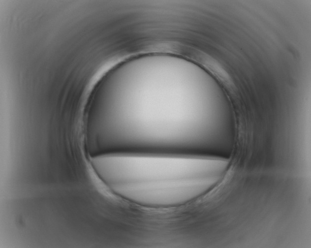 X0000115500800200911061021
