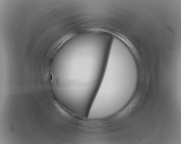 X0000115500801200911061021